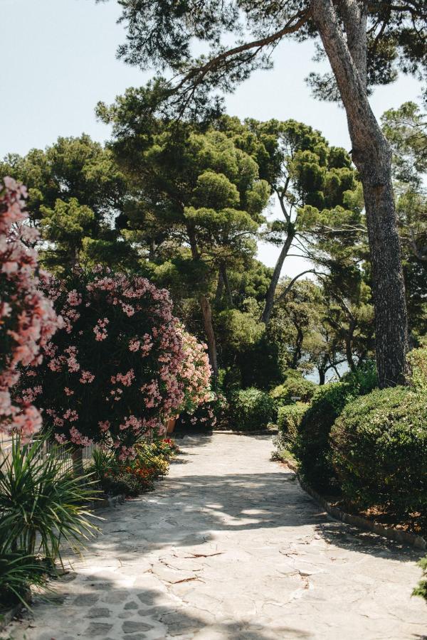 Hotel Provencal Hyères Екстериор снимка